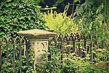 Friedhofsbild